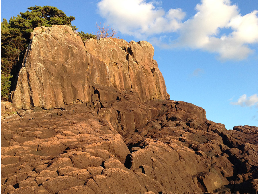 n͈̏ӊOƕ₷HIۂɕĊm߂Ă݂悤I