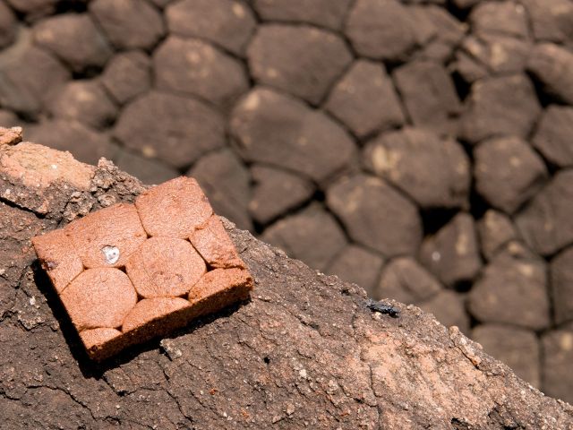 景色をモチーフに作られたジオ菓子を持って行きます。現地をみながら溶岩にそっくりなお菓子を食べると不思議な気分に!