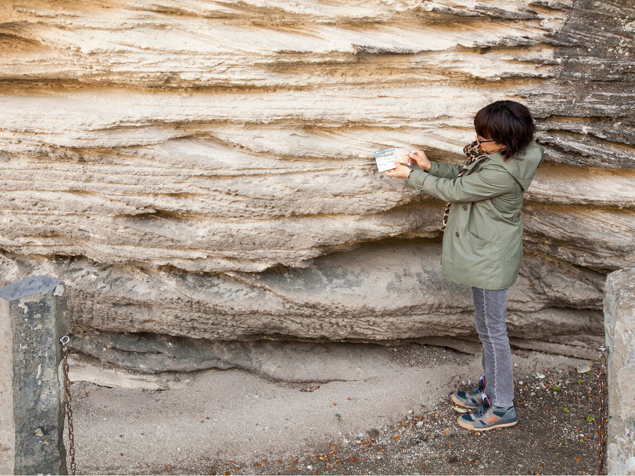 g̉΂ƂuΌwvBȂWIَqQŉ܂I͉c̗jɂdvȏꏊłB