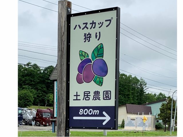 ハスカップ狩り初体験プラン お子様無料 土居ハスカップ農園 じゃらん遊び体験 ハスカップ狩り初体験プラン お子様無料 土居ハスカップ農園 じゃらん遊び体験