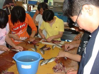 ひもの開き体験中