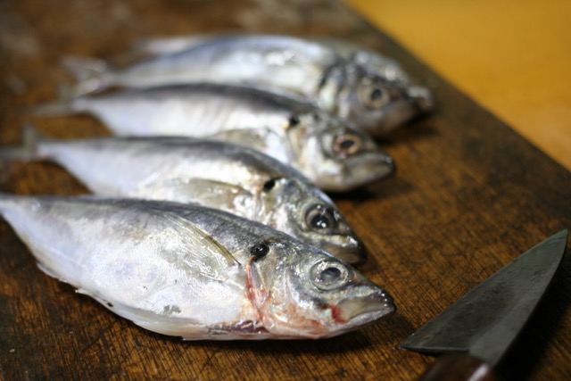 ���ꂩ��J���A�W�ł��B