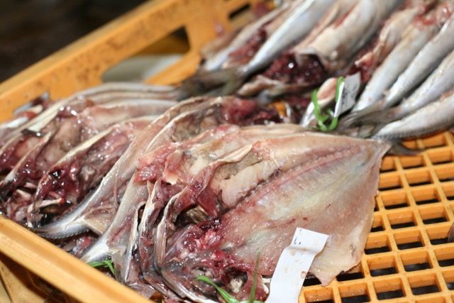 �J�����A�W�ł��B���ꂩ��Ђ��̂ɂȂ�܂��B