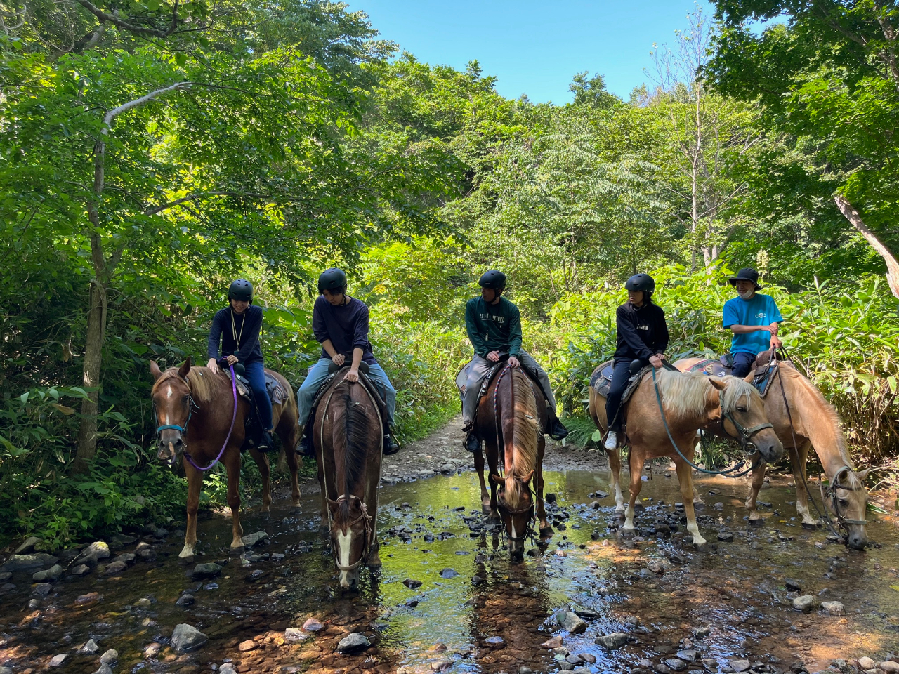 小川を渡ります!