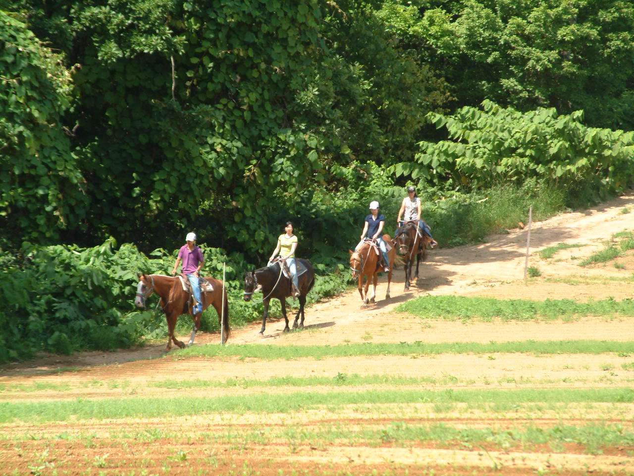 畑のあぜ道も通ります!