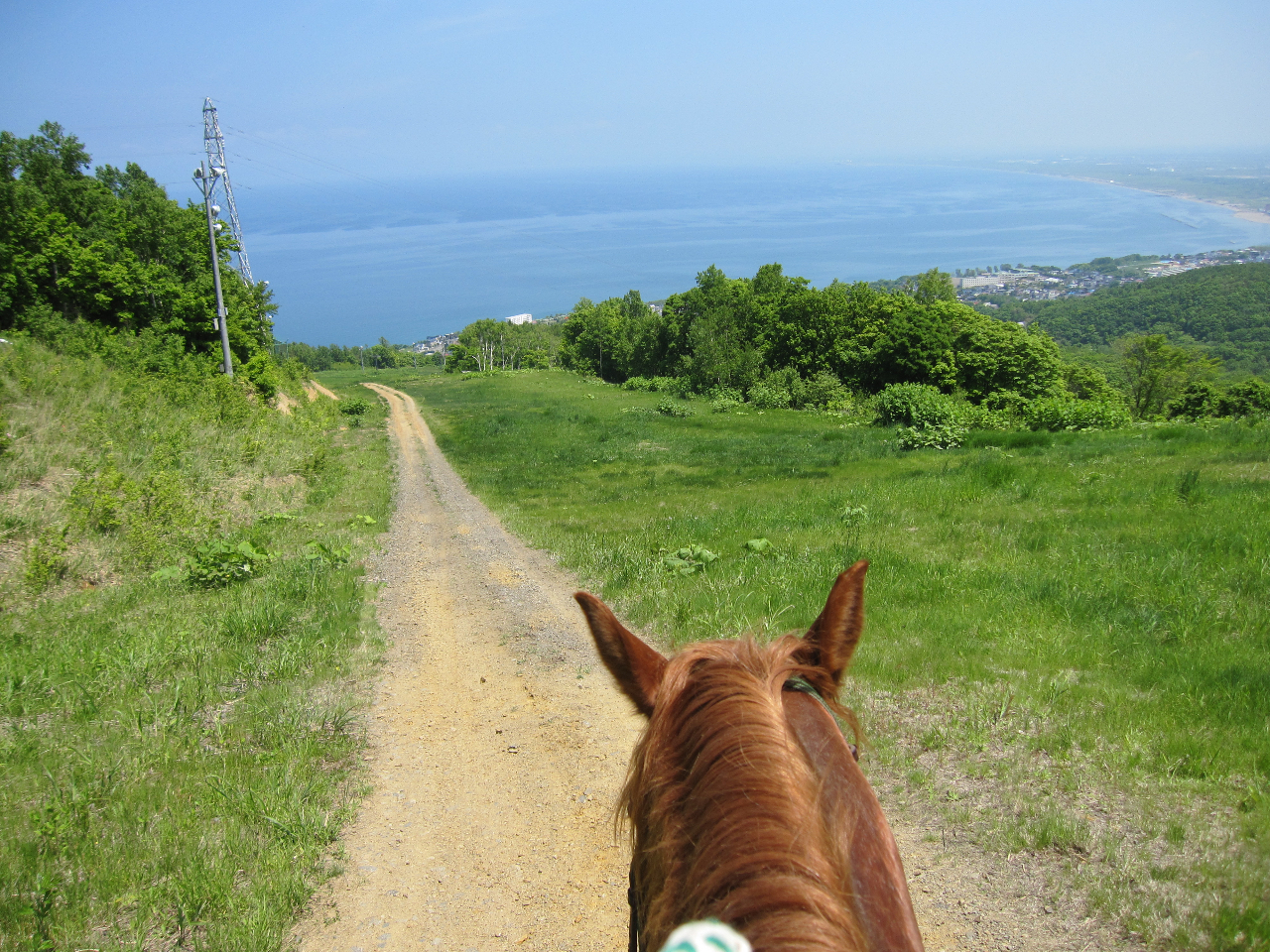 馬上からの景色!