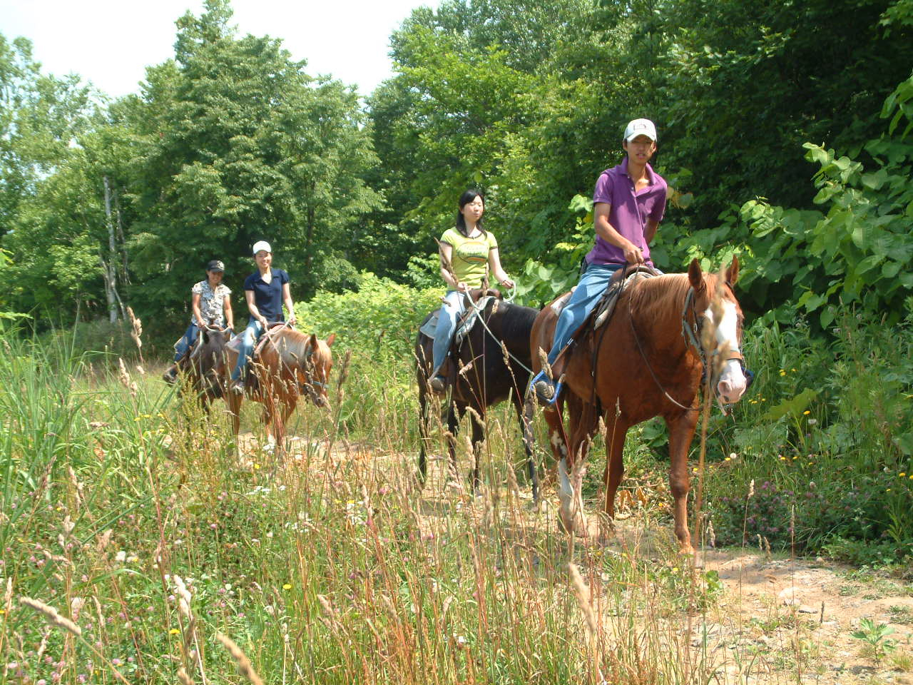 緑の中をお散歩。馬上からの景色は最高です!
