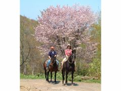 馬に乗ってお花見!