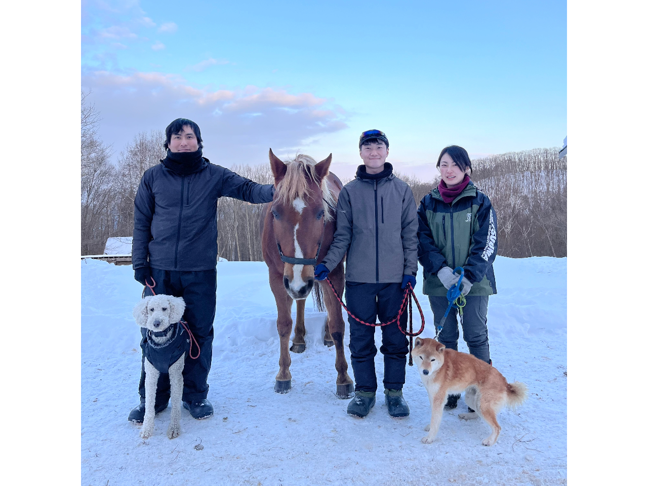 ワンちゃんたちもおもてなしいたします!