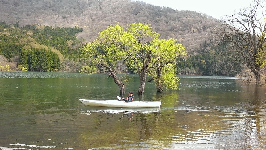 �_��̌΁A�k���΁B�G���W���t���̑D�͋��Ȃ����߂ƂĂ��Â��ȃ��P�[�V�����ł��B