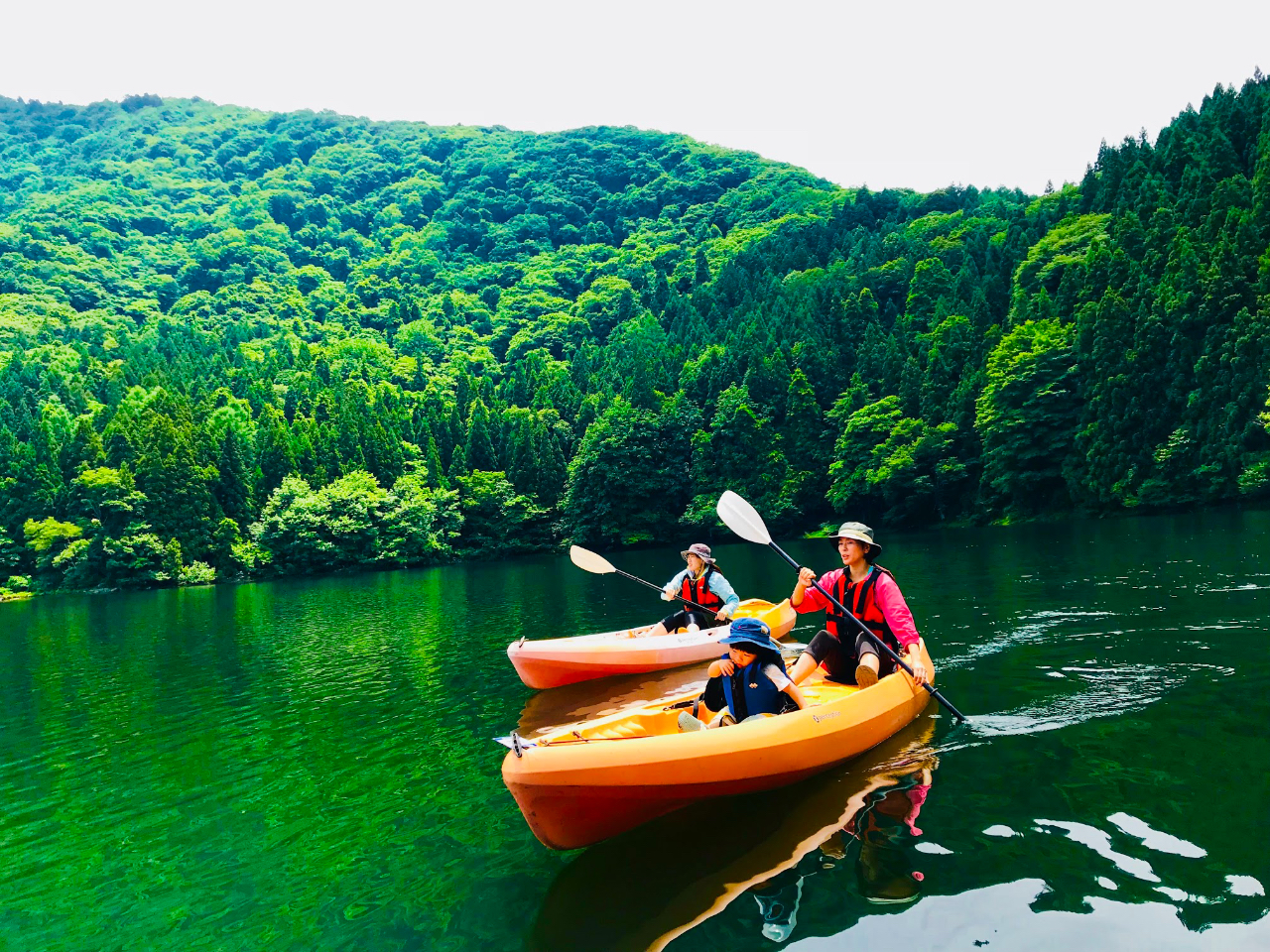 ���߂Ă̕��A�c�������A��̕��A�y�b�g�Ƃ̓�����\�ł��B���ǂȂ��ł��̌��ł��܂��B�P�l���J�k�[����R�l��J�k�[�܂ł����p���������܂��B