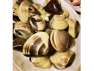 飲み放題付 午前プラン 九十九里 ファミリーにもおすすめ 海沿いカフェで手ぶらbbq 人気の11 00スタート ビーチステーション Cafe Gin Ger じゃらん遊び体験