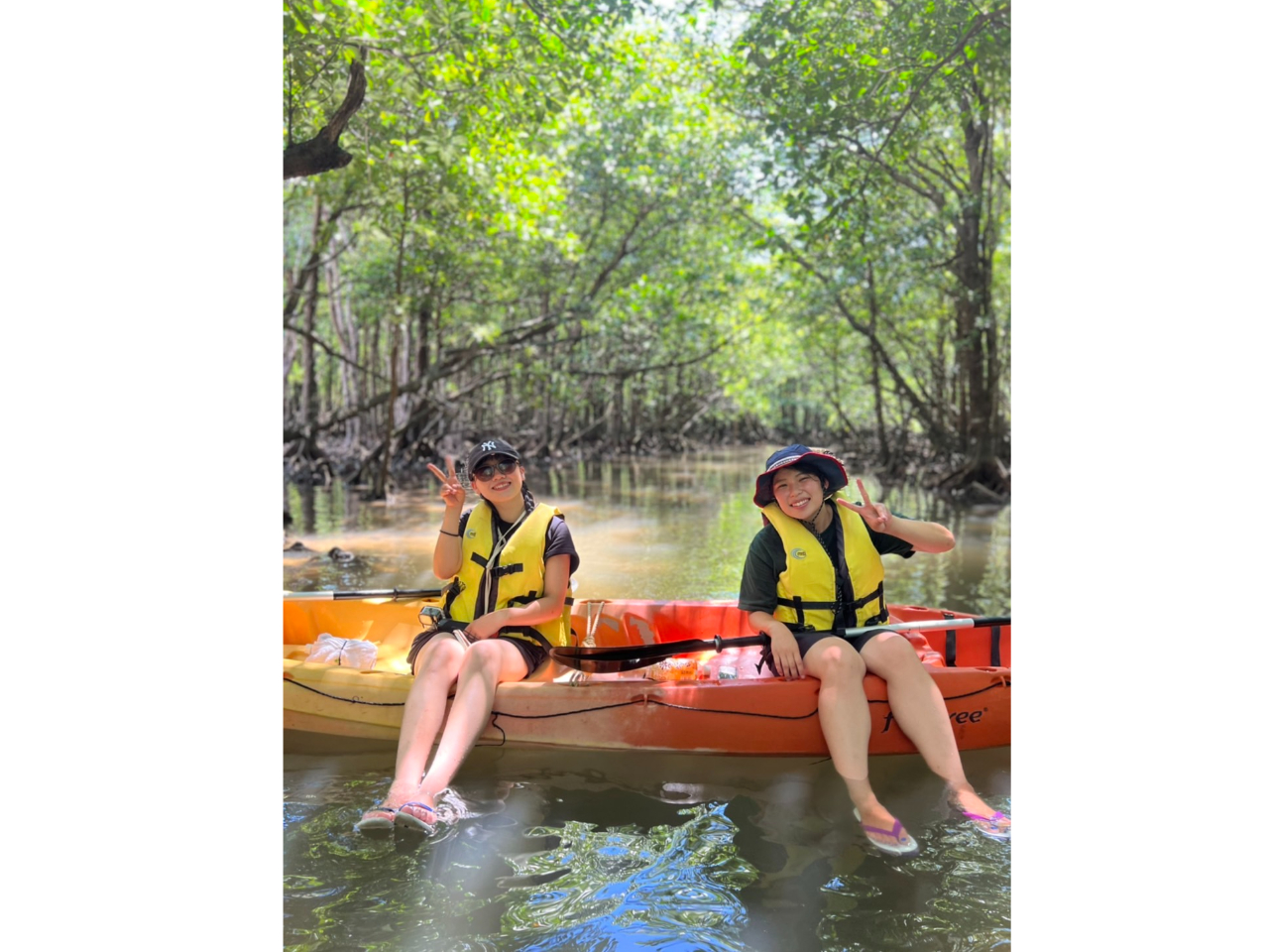 FBłƊyłBwsAqAJbv劽}A݂؂ʐ^BeCB