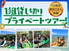 1組だけの貸し切りツアーを開催しています。プライベートツアー楽しんでください。