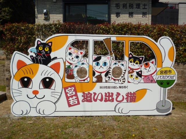 ǂoLt@~[opliL˃oX≡j