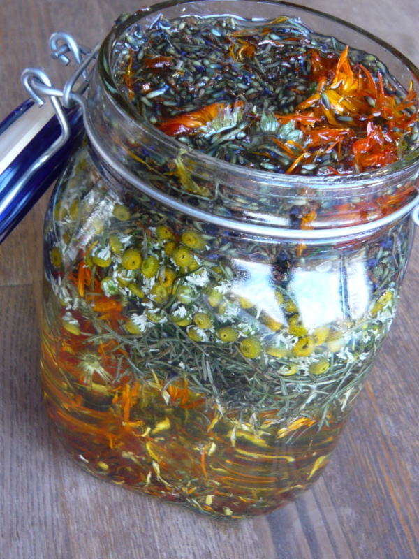 ���Ɣ_���Y���R�͔|�̃n�[�u�������Ղ�g�����C���q���[�Y�h�I�C���B