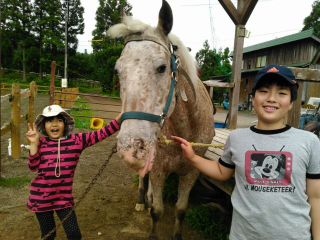 お馬さんて可愛いな〜。