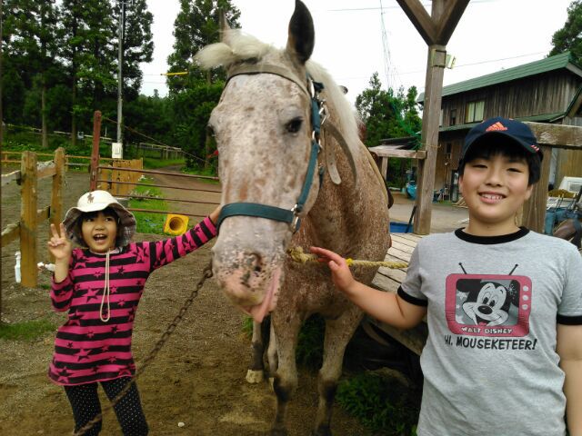お馬さんて可愛いな〜。