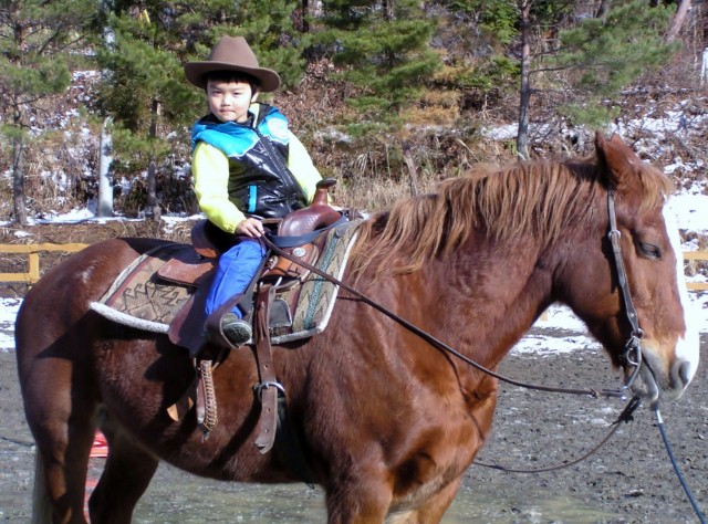 n܂Rg[ł悤ɂȂȁHC̓JE{[CJEK[