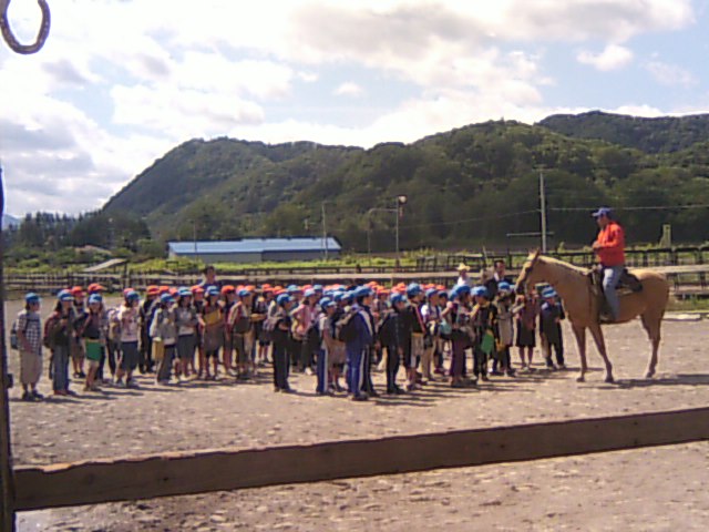 nɂĊwт܂BnĂǂȓȂ񂾂낤H