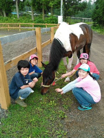 馬って優しい動物なんだね〜。