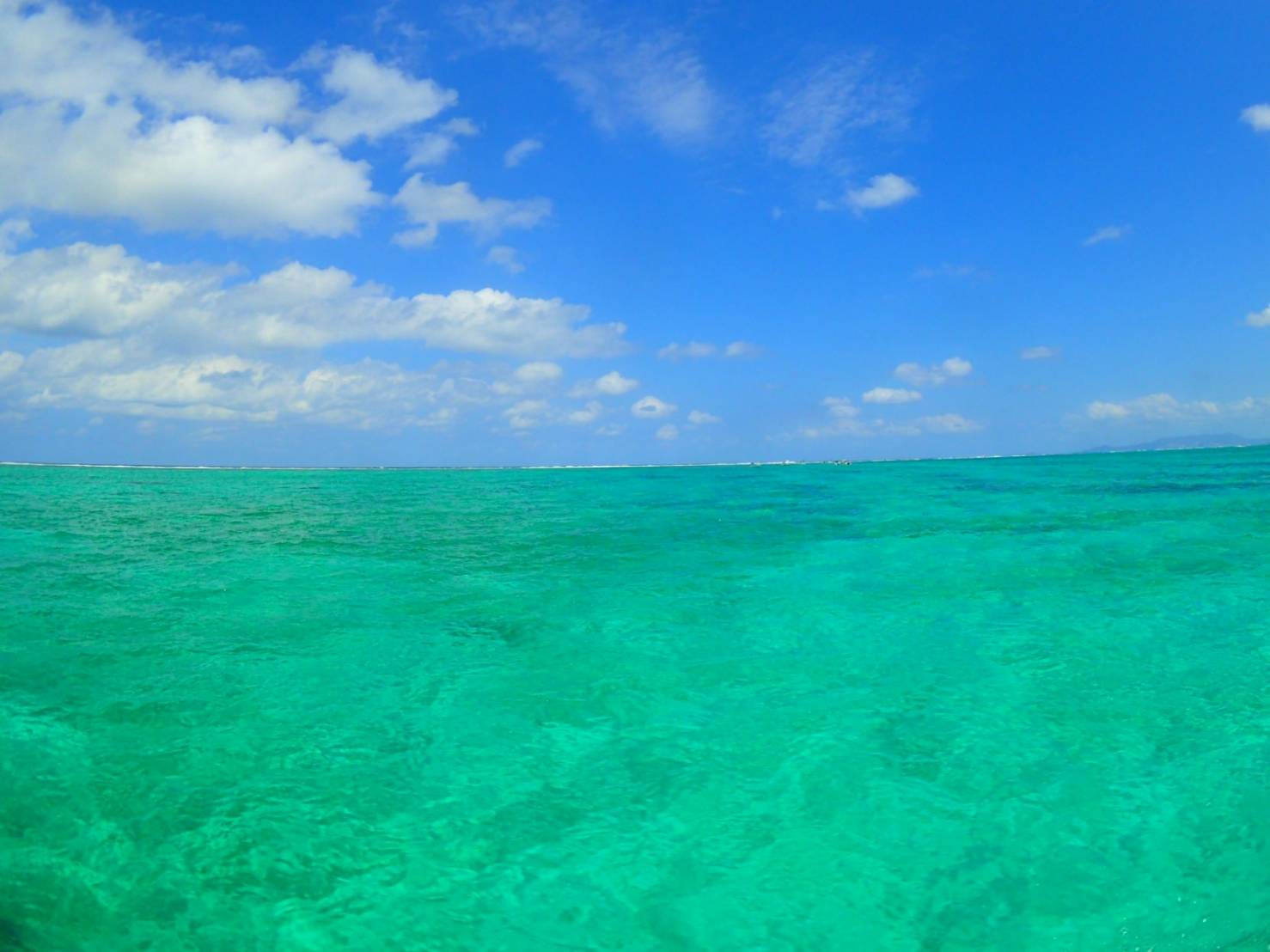 エメラルドグリーンの海で楽しくダイビング