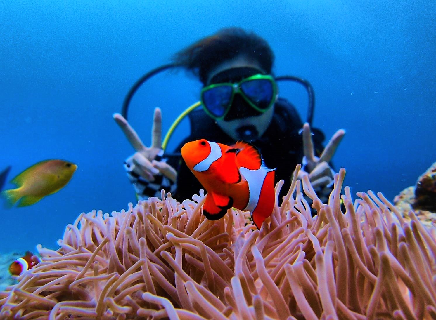 �J�N���N�}�m�~