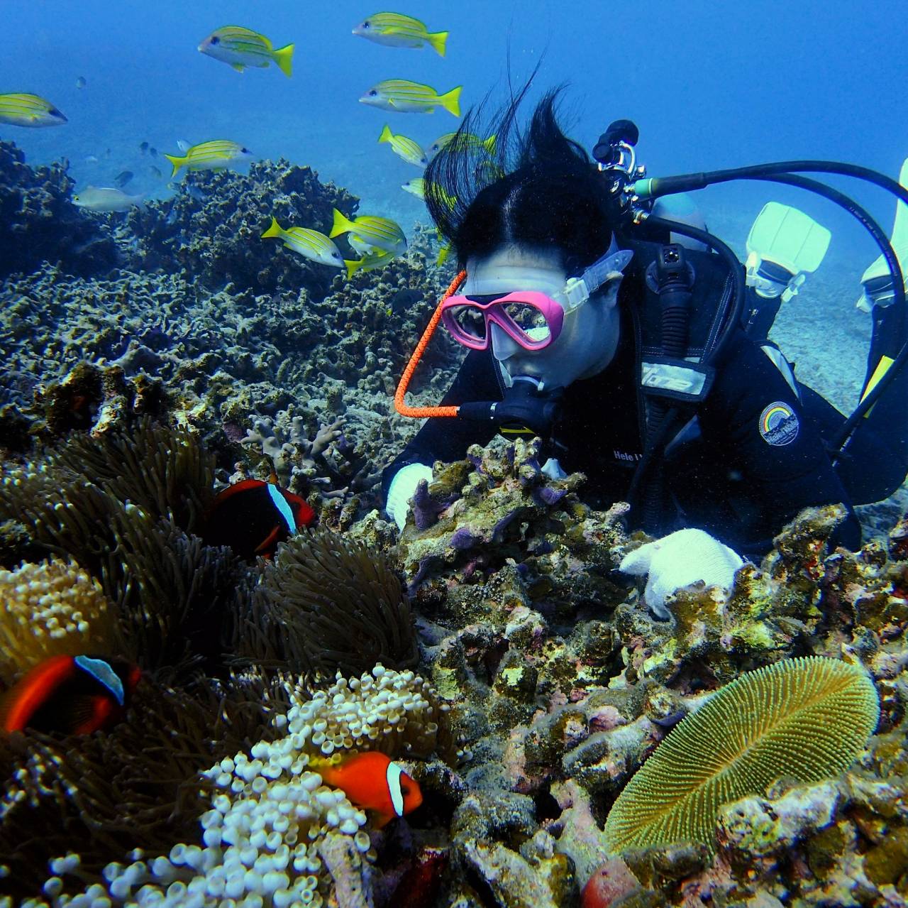 �n�}�N�}�m�~