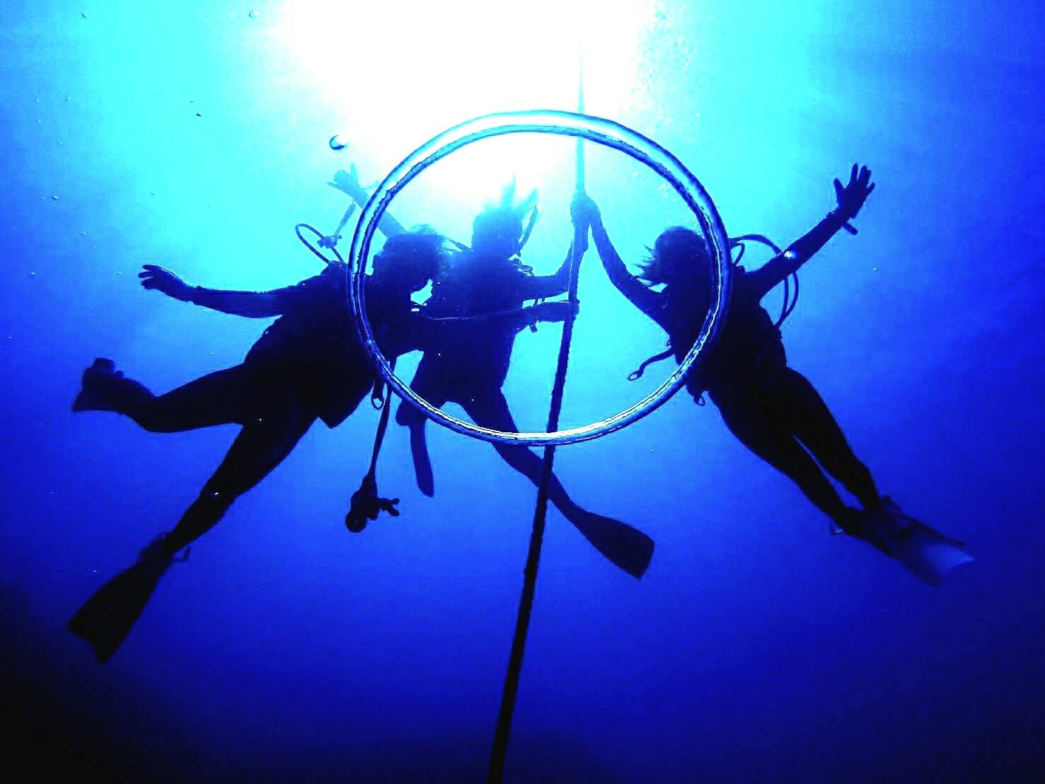 �o�u�������O