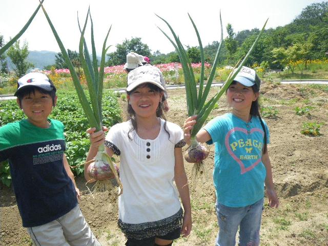 農園で収穫した野菜をトッピングします(収穫できない時期もあります)