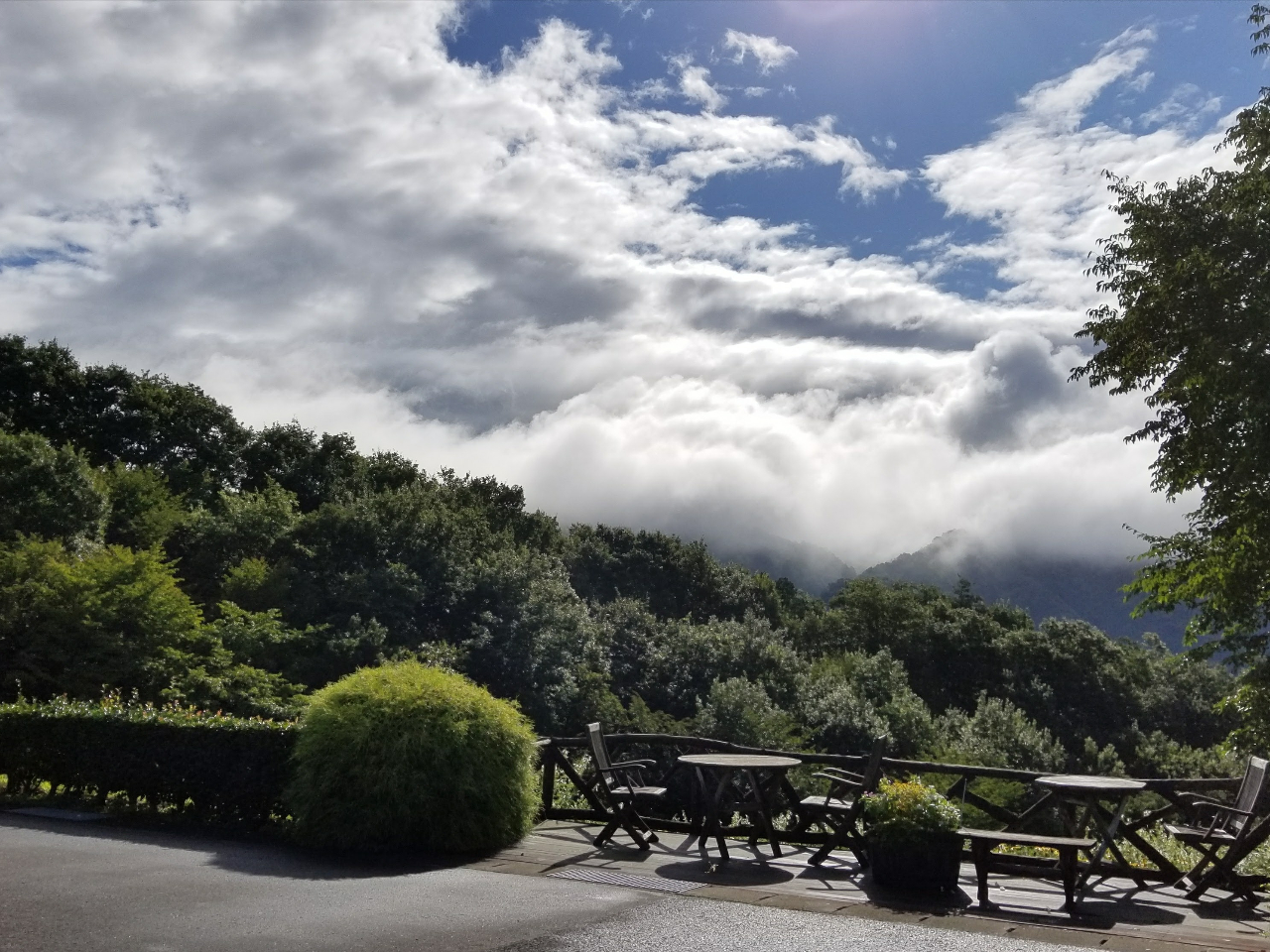 ݂͂炵̂悢EbheXł̂тł܂