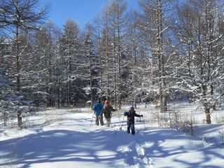 インタープリターと雪の森を散策 動物の足あとを探してみよう npo法人蓼科八ヶ岳国際自然学校 じゃらん遊び体験
