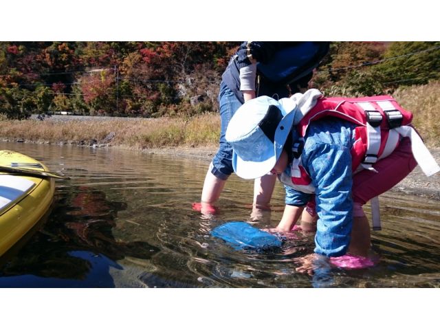 家族でわいわいお魚取り