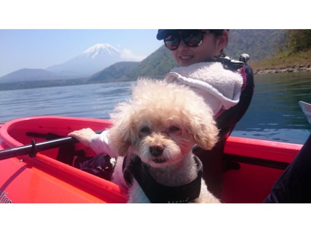 ワンちゃんも一緒に楽しめます!!!