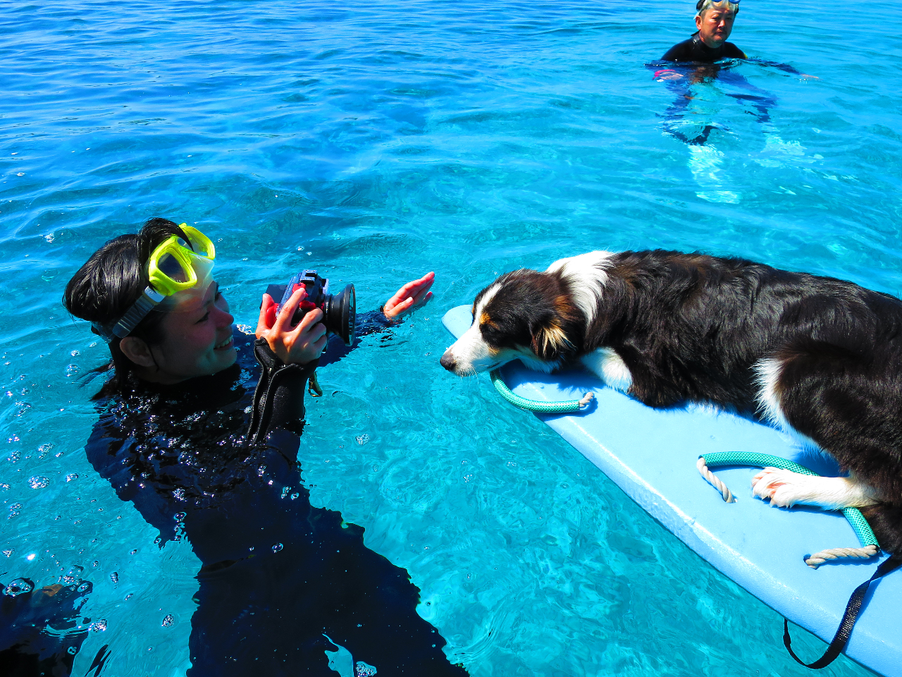 ̕iBȂpxCobNȂǂ낢BĂ