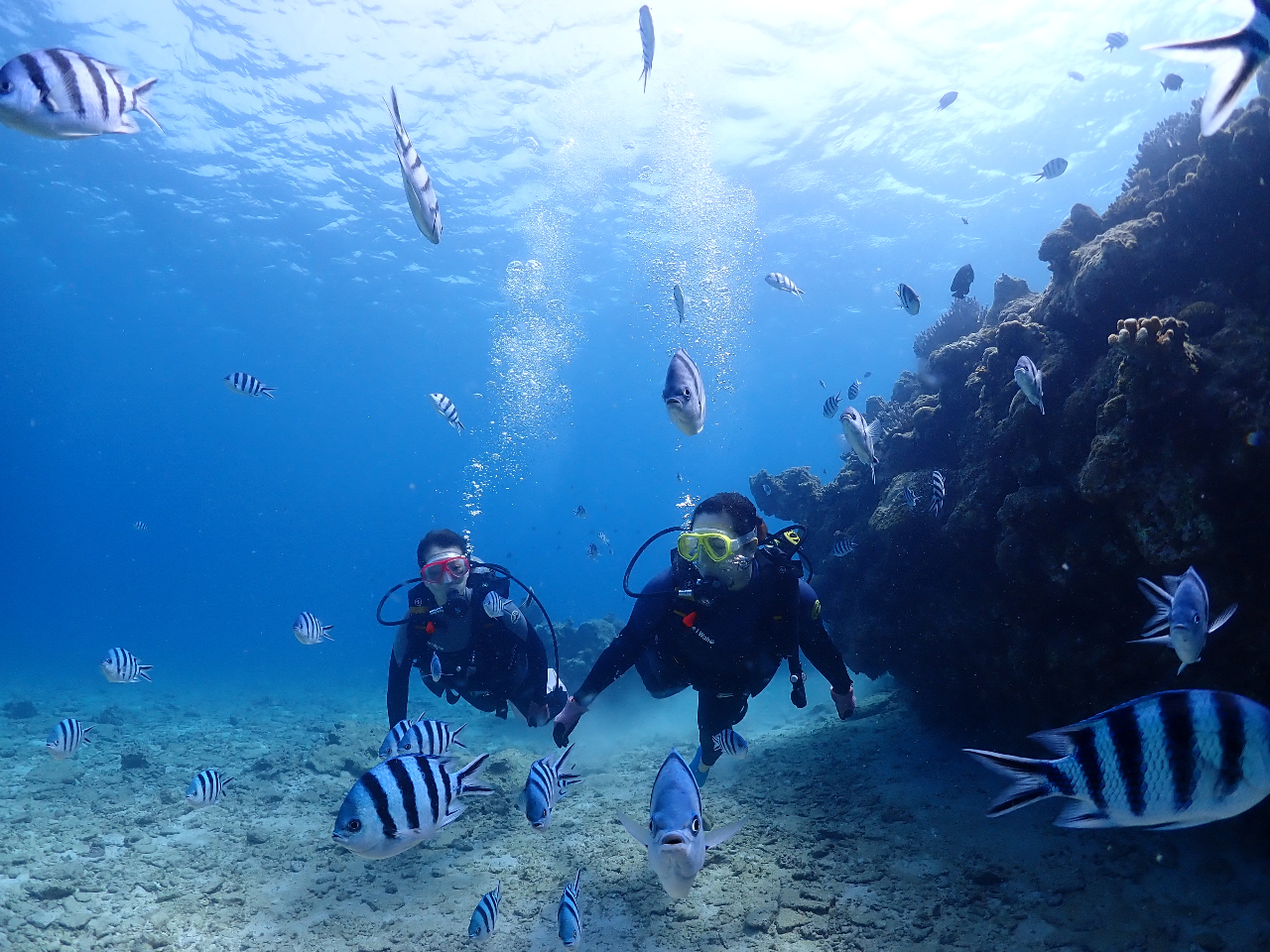 Q̃_CrOȂ̂łȂɏɐ܂I