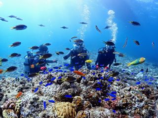 沢山の魚たちに癒される事間違いなし!