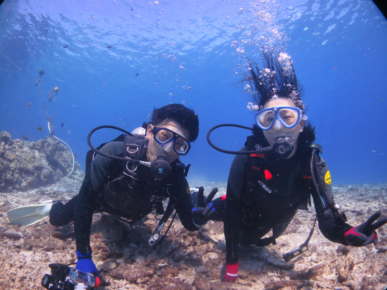 x̍k̊C̓mXgX̃_CrOII