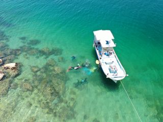 体験ダイビング