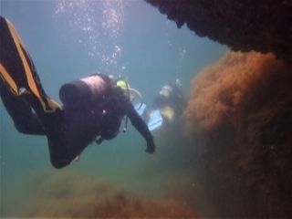 浅場でのんびり