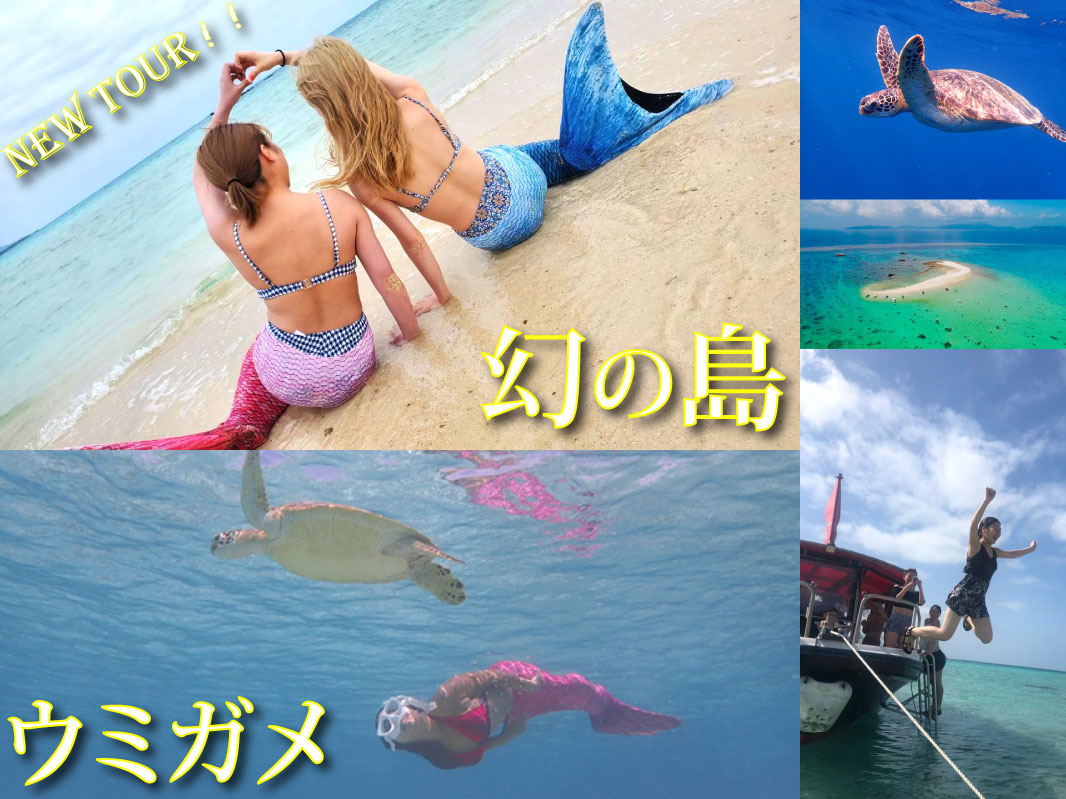 幻の島と綺麗な石垣島の海でのシュノーケルの欲張りお得セットツアー!♪運が良ければウミガメにも会えるかも!?
