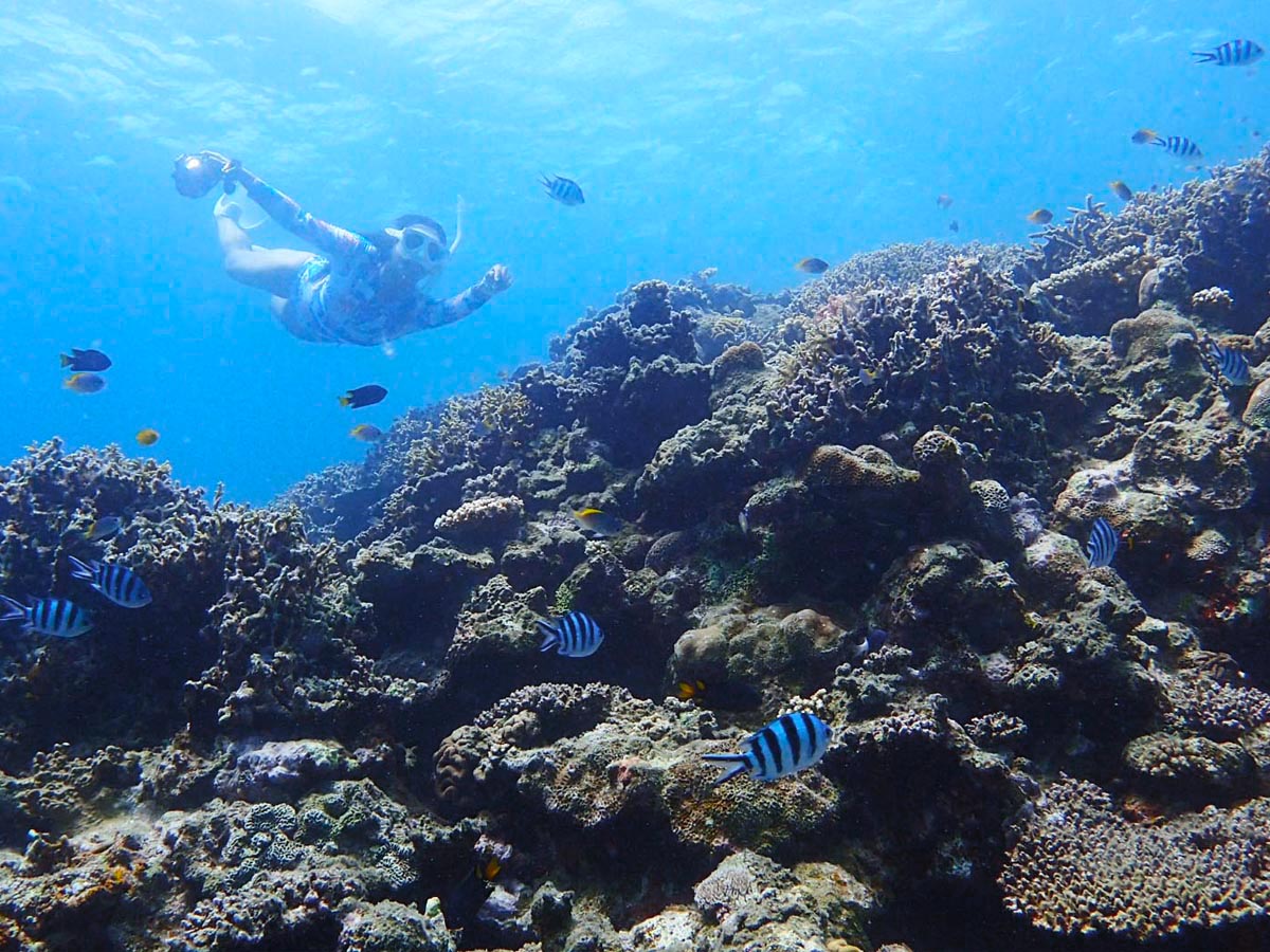 gsJtBbVƊCUBVm[Py߂܂B