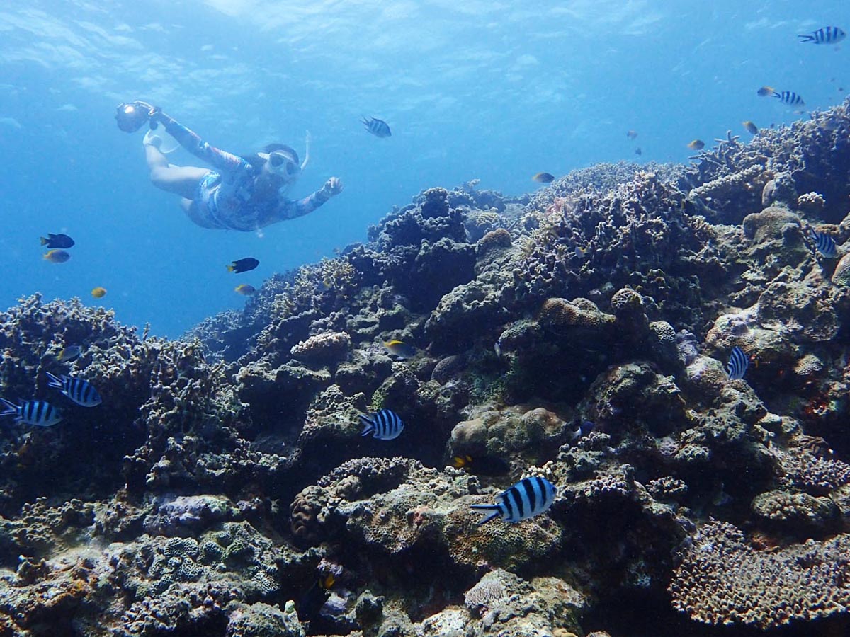 gsJtBbVBƊCUIVm[P𖞋i悤I