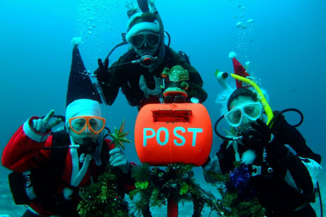 【9時~・体験ダイビング】東伊豆 ・城ケ崎 ・ 伊豆海洋公園 体験ダイビング・...