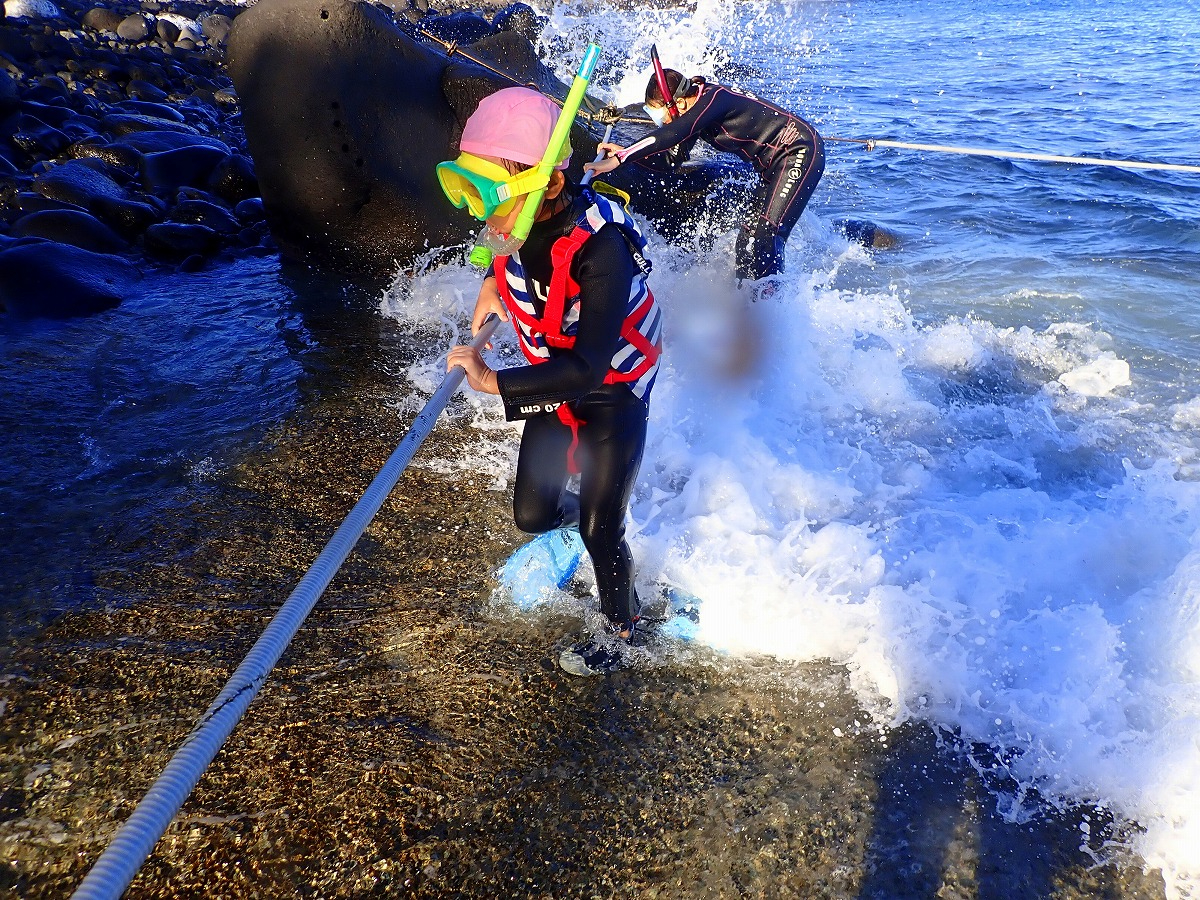 głۂ̔gA}}pp̓N^N^Bт͌CII