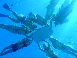 透明度抜群・トロピカルフィッシュいっぱいの海を満喫してみませんか