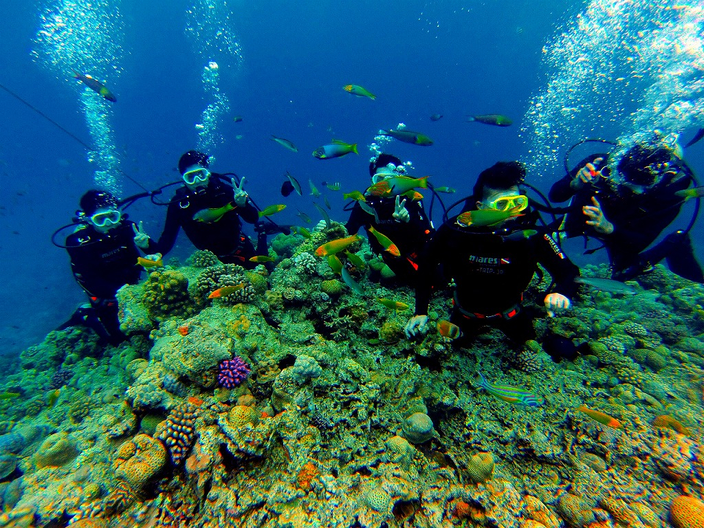 透明度抜群で、カラフルなお魚達を間近で観察!