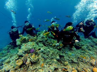 テレビで見るようなサンゴ礁やカラフルな魚達、トロピカルフィシュと一緒に 泳ぐ夢だってシュノーケリングで簡単に叶える事ができちゃいます !