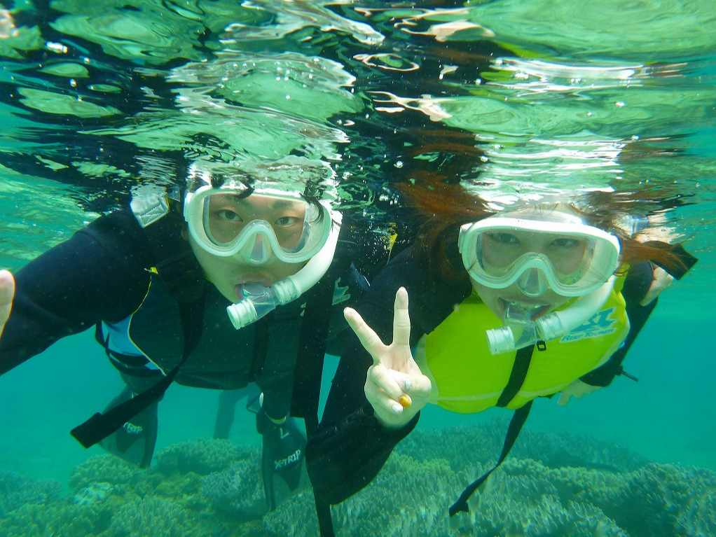 綺麗なポイントへ移動し水色が鮮やかなデバスズメダイや ヤマブキベラなど多くのトロピカルフィシュが見れます。