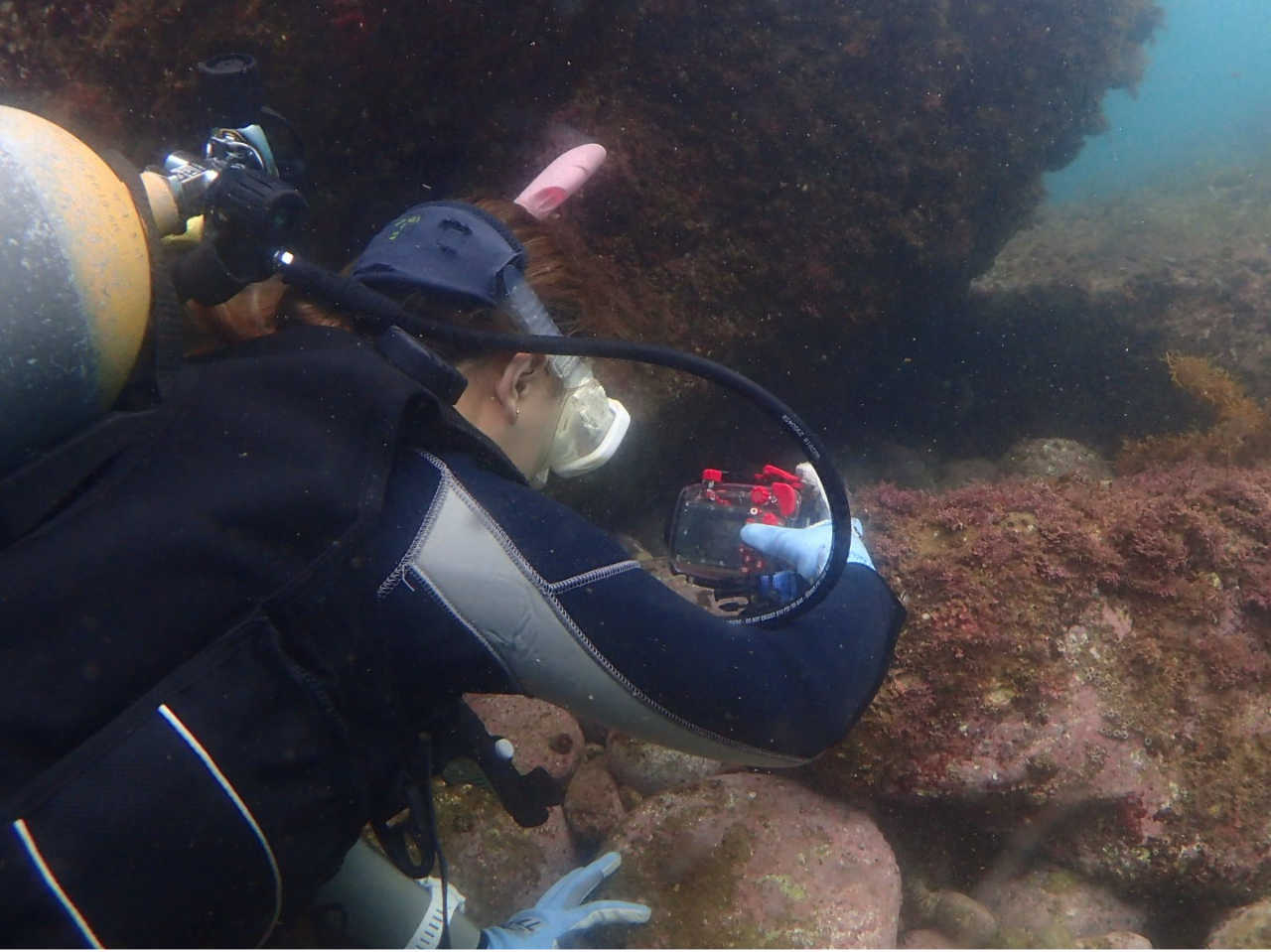 水中撮影が楽しめます。(カメラレンタル代1,000円)